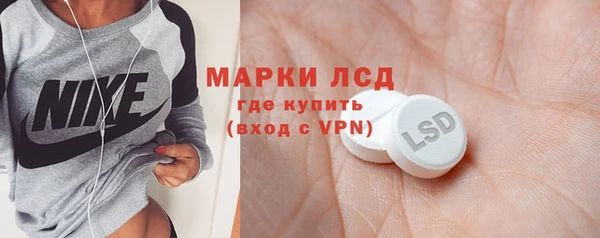 прущий лед Алзамай