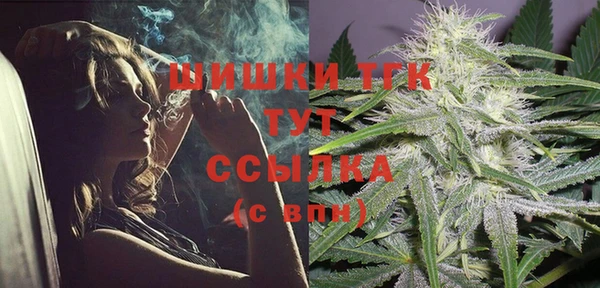 прущий лед Алзамай