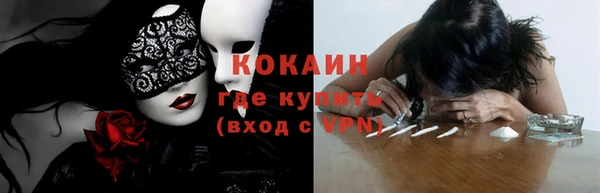 прущий лед Алзамай