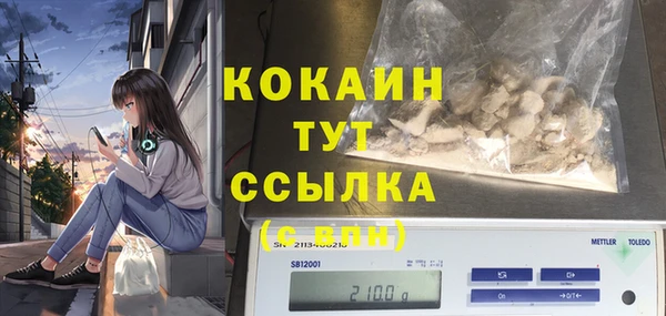 прущий лед Алзамай